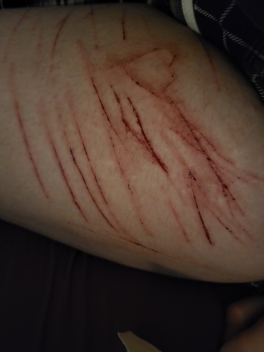 M ☆ ichika of shtwt tweet media