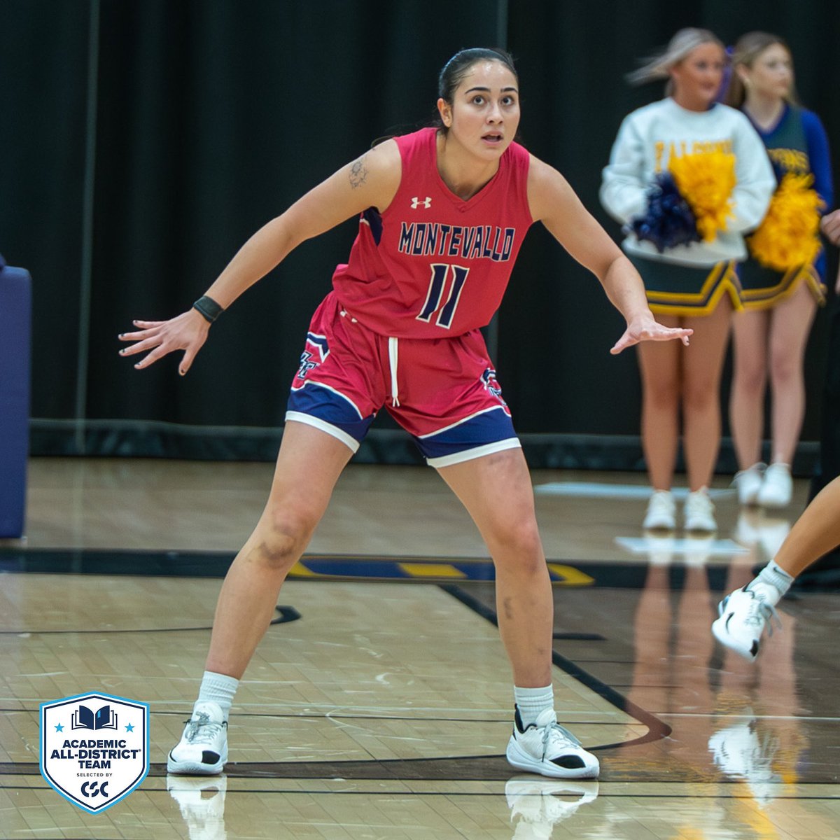 Montevallo Women’s Basketball tweet media