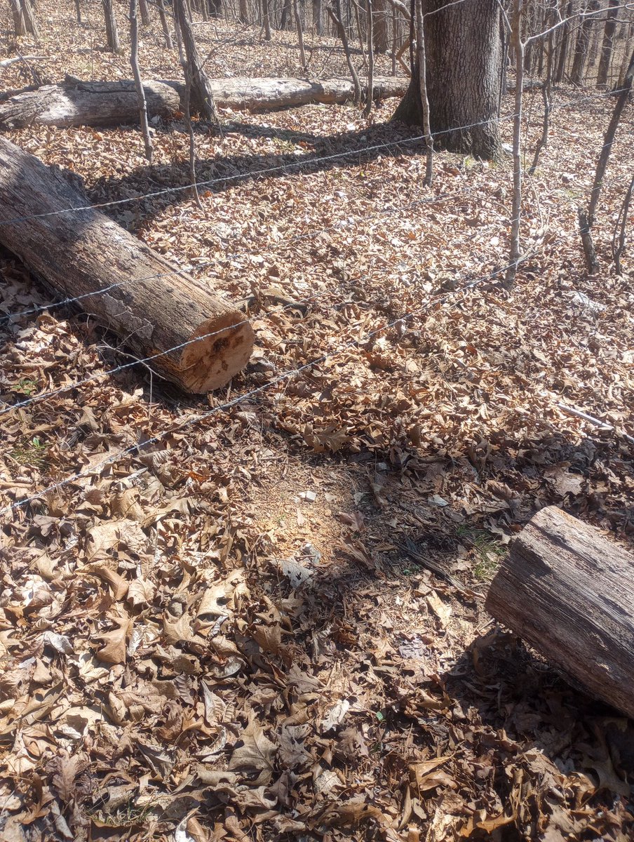 Farm Boy tweet media