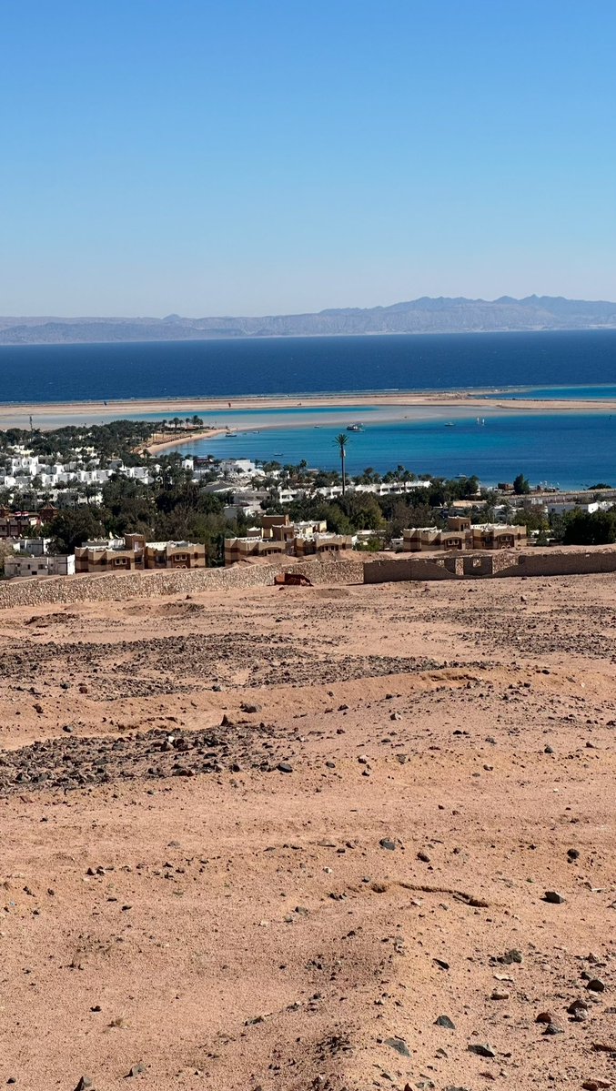 عادل المزيني tweet media