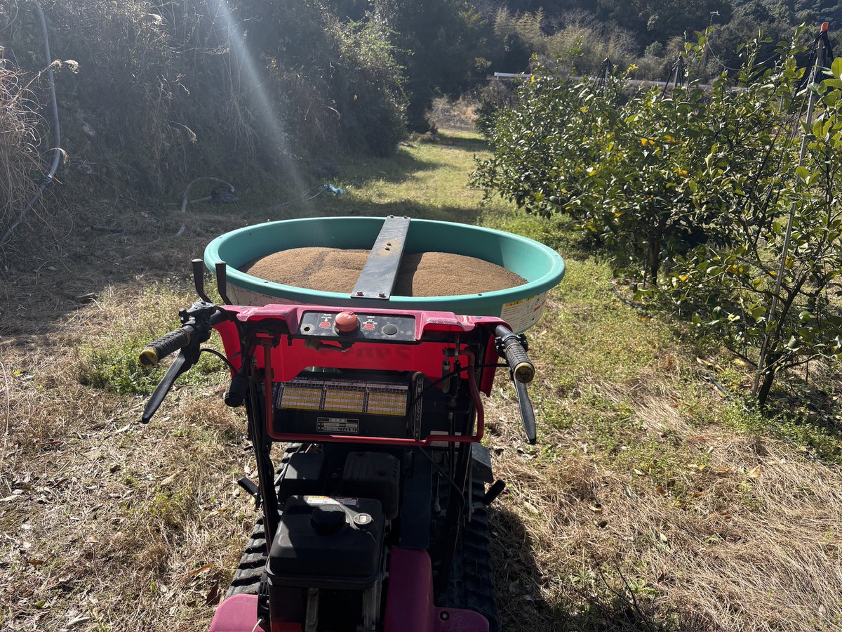 山本 善幸|三重御浜町のみかん職人🍊 tweet media