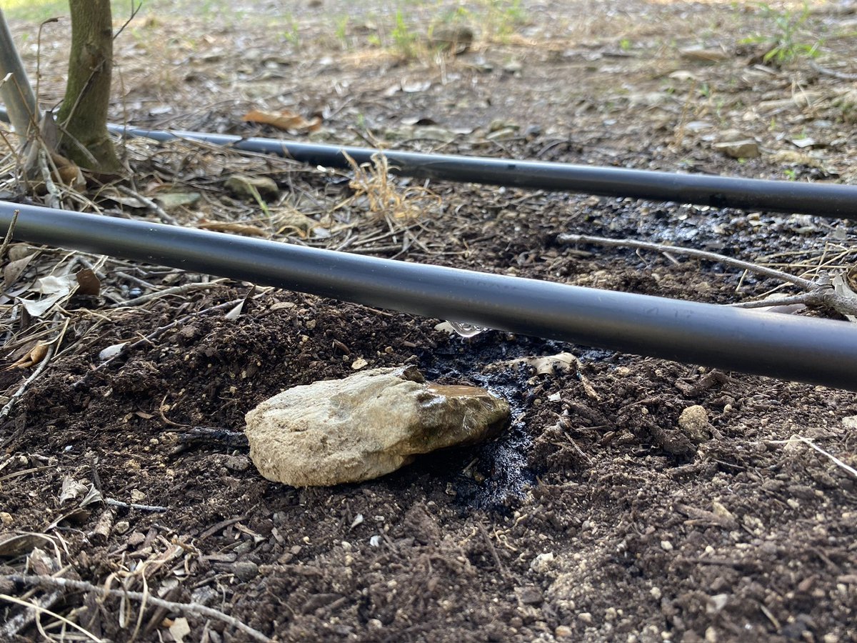 山本 善幸|三重御浜町のみかん職人🍊 tweet media