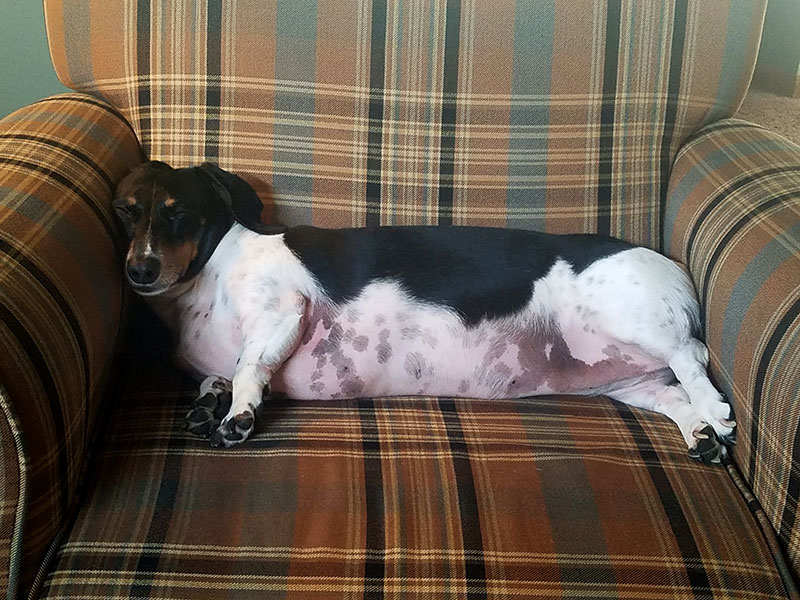 Michael Beard tweet media