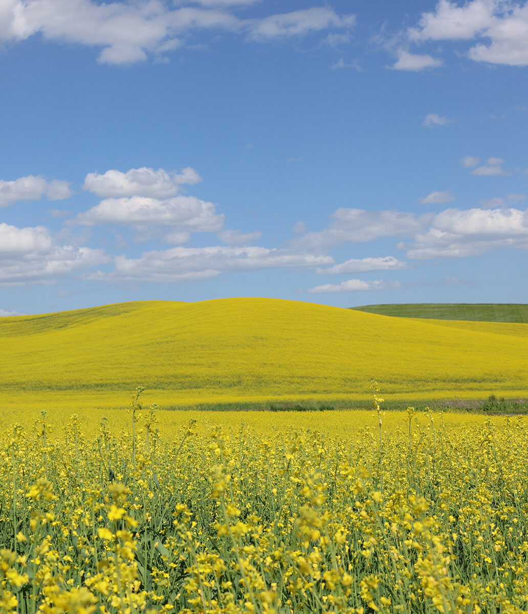 SAREProgram's tweet photo. SARE’s newest bulletin provides guidance on using enterprise budgets, recordkeeping systems and partial budget analysis to evaluate management decisions for diversified farm operations: https://t.co/jKLwY7ob4P https://t.co/Y6E0sIx0g7