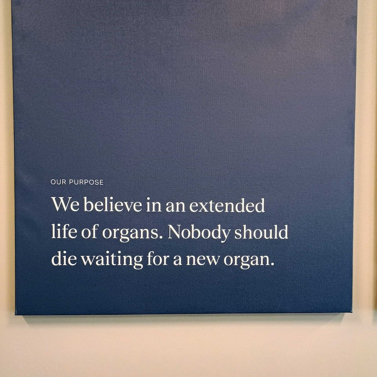 Bio::Neos, Inc. tweet media