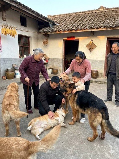 positive side of X 🌞 tweet media