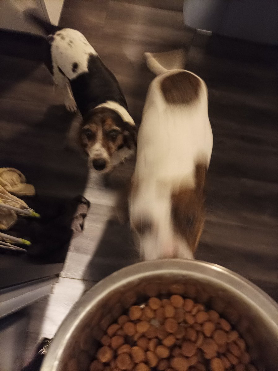 Oen 🌟 tweet media