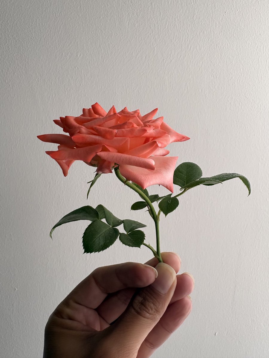 Federico tweet media