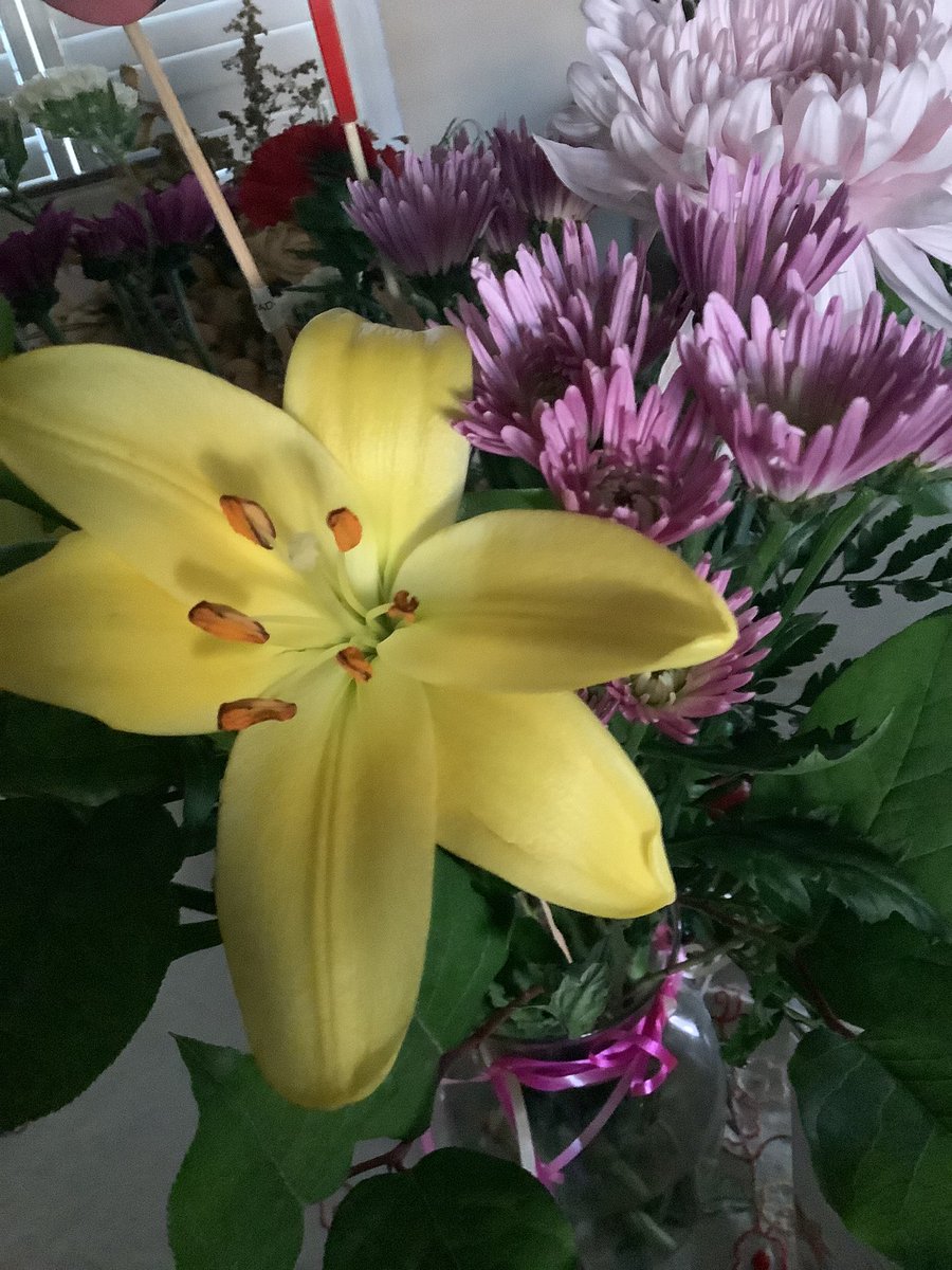 Susan1221 tweet media