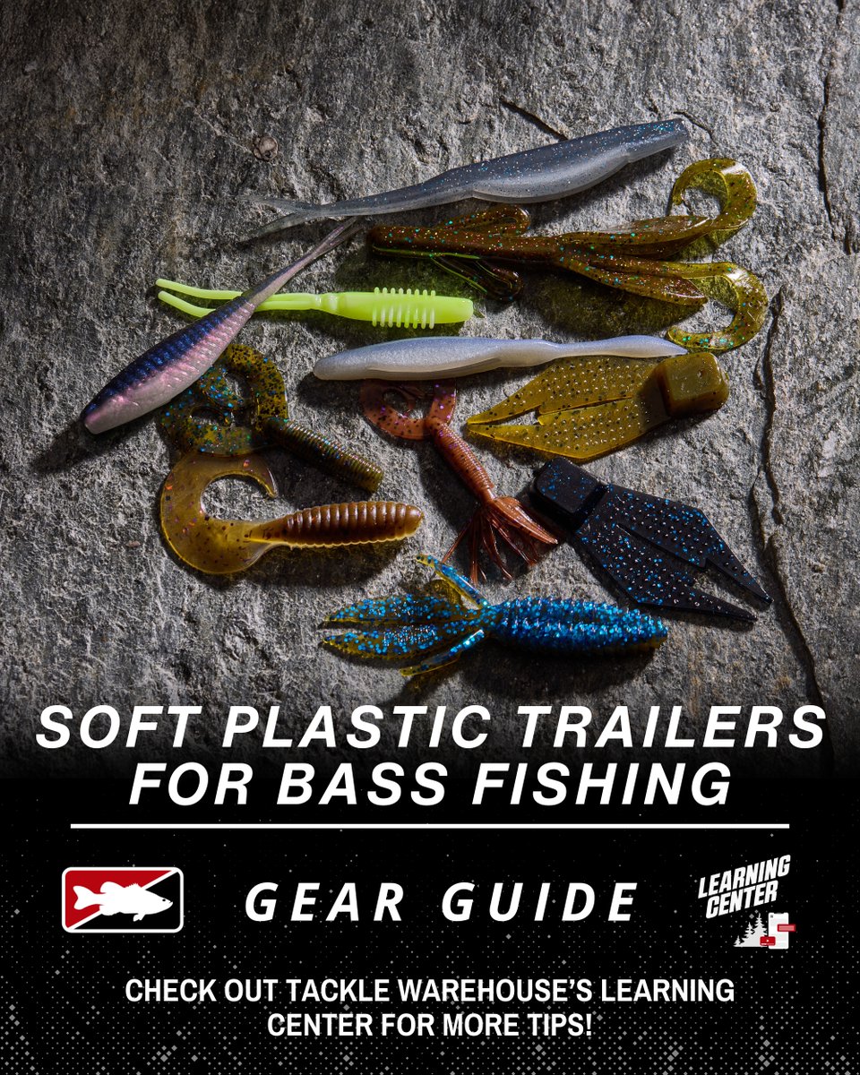 Tackle Warehouse tweet media