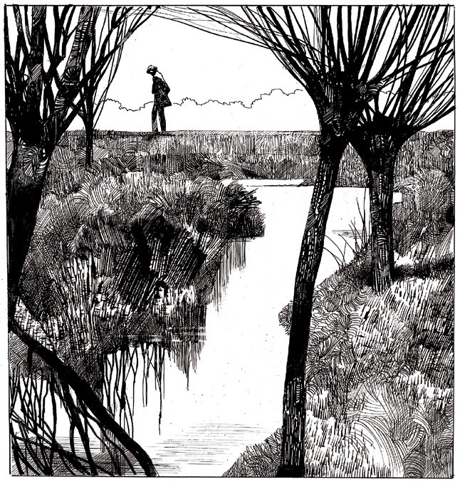 La vida en viñetas tweet media