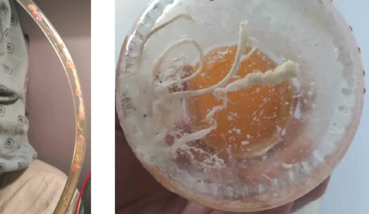 Dr Mark Trozzi MD tweet media