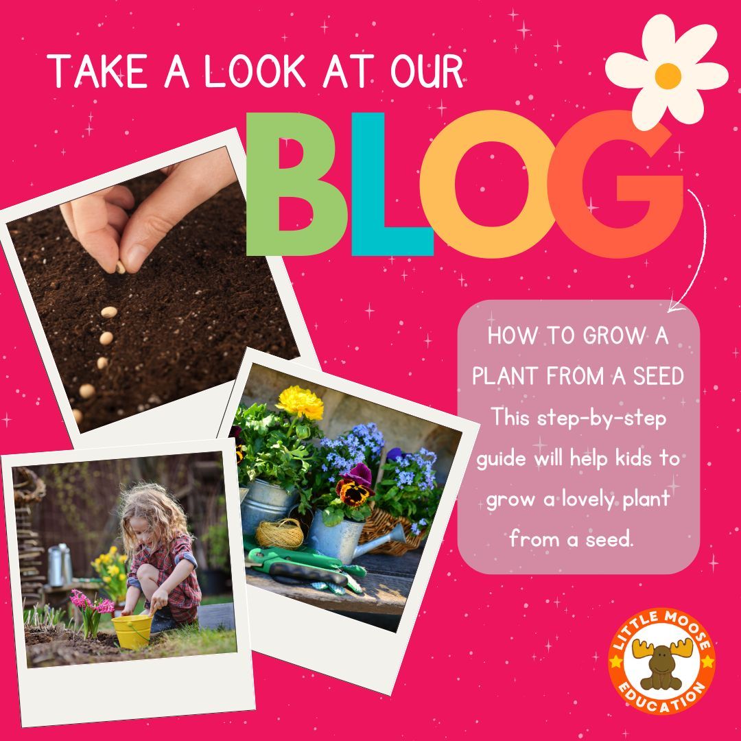 LittleMooseEd's tweet image. 🌱 How to Grow a Plant from a Seed

A simple, hands-on classroom activity to explore germination and plant life cycles this spring.

👉 Read the blog here: littlemoose.education/blogs/news/how…

#PrimaryScience #SpringLearning #STEM #LittleMooseEducation