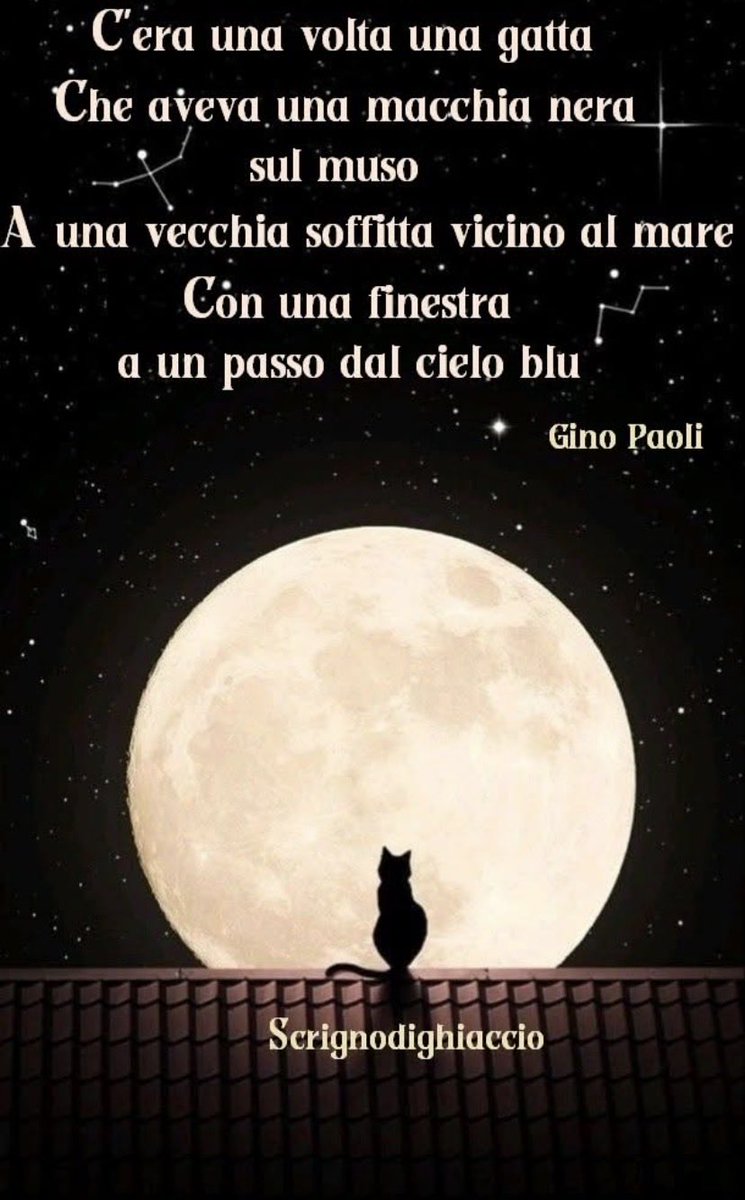 Maria Rita tweet media