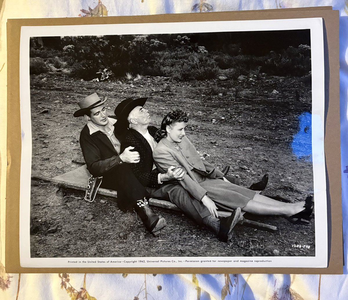 Annabel Jessica Goldsmith tweet media