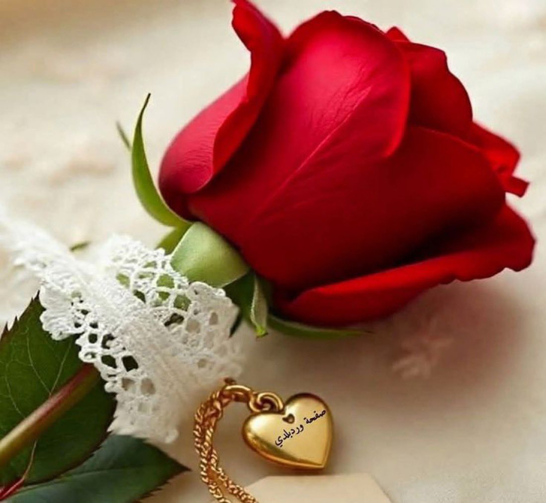 قطرااات الندى tweet media