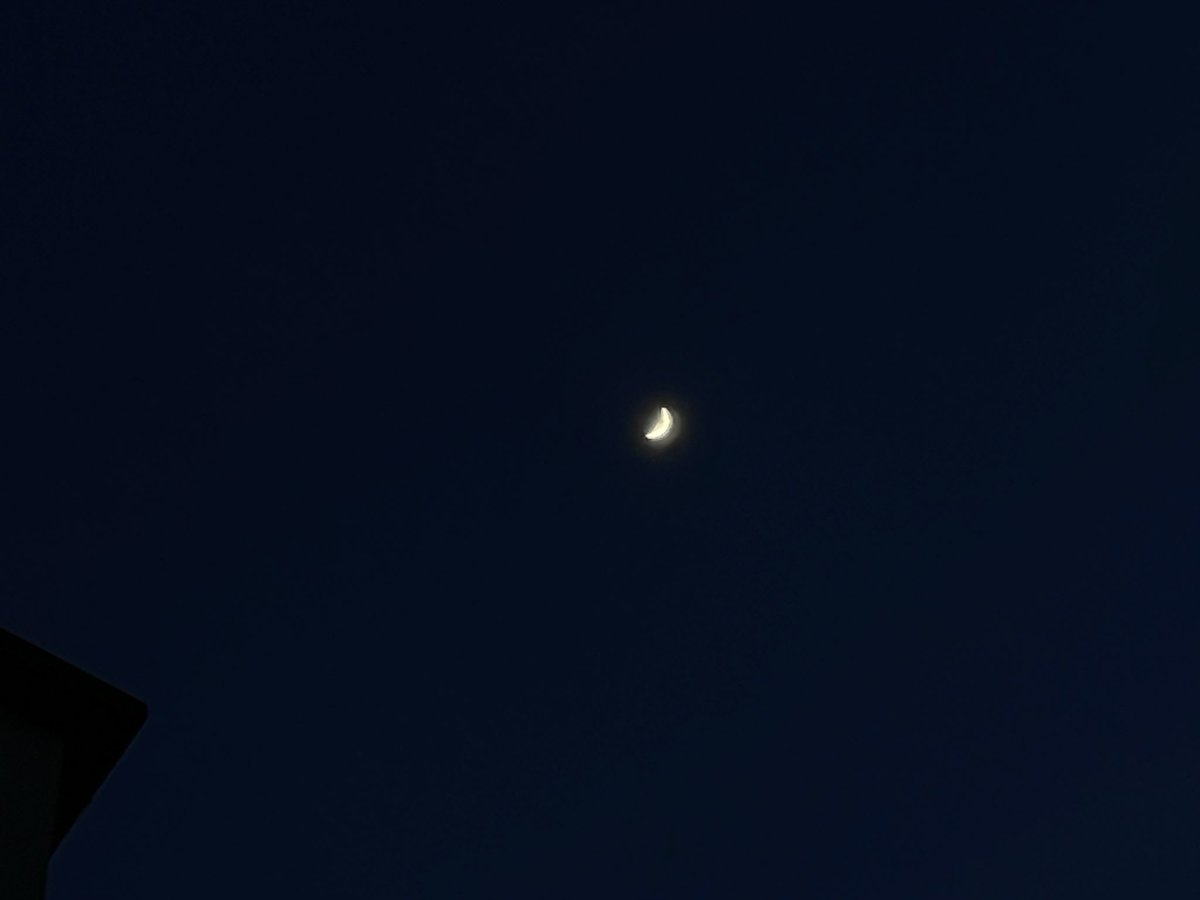 FLARE 🦁🦂🌞 tweet media