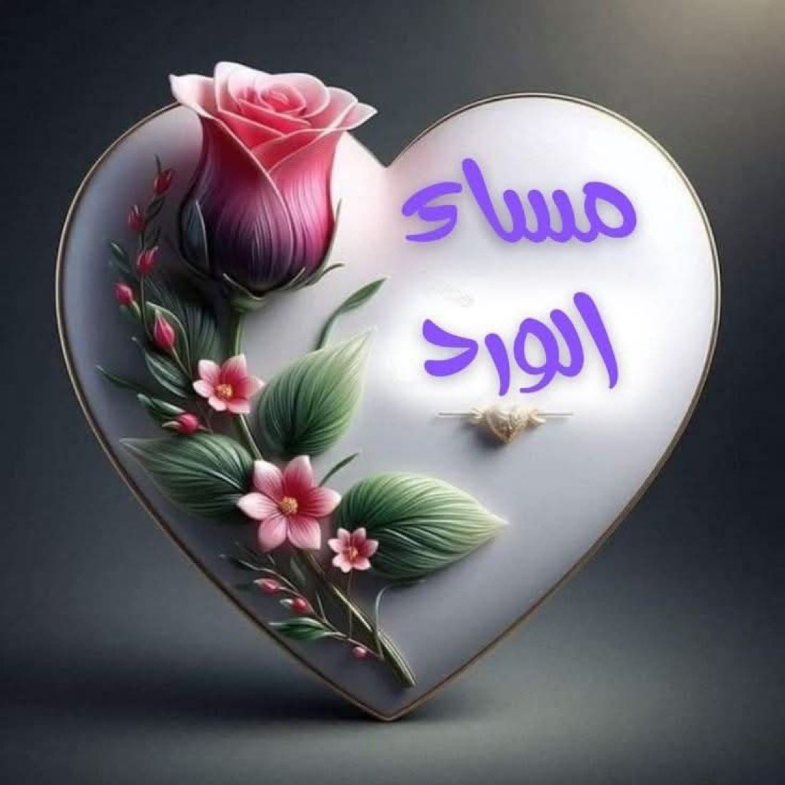 قطرااات الندى tweet media