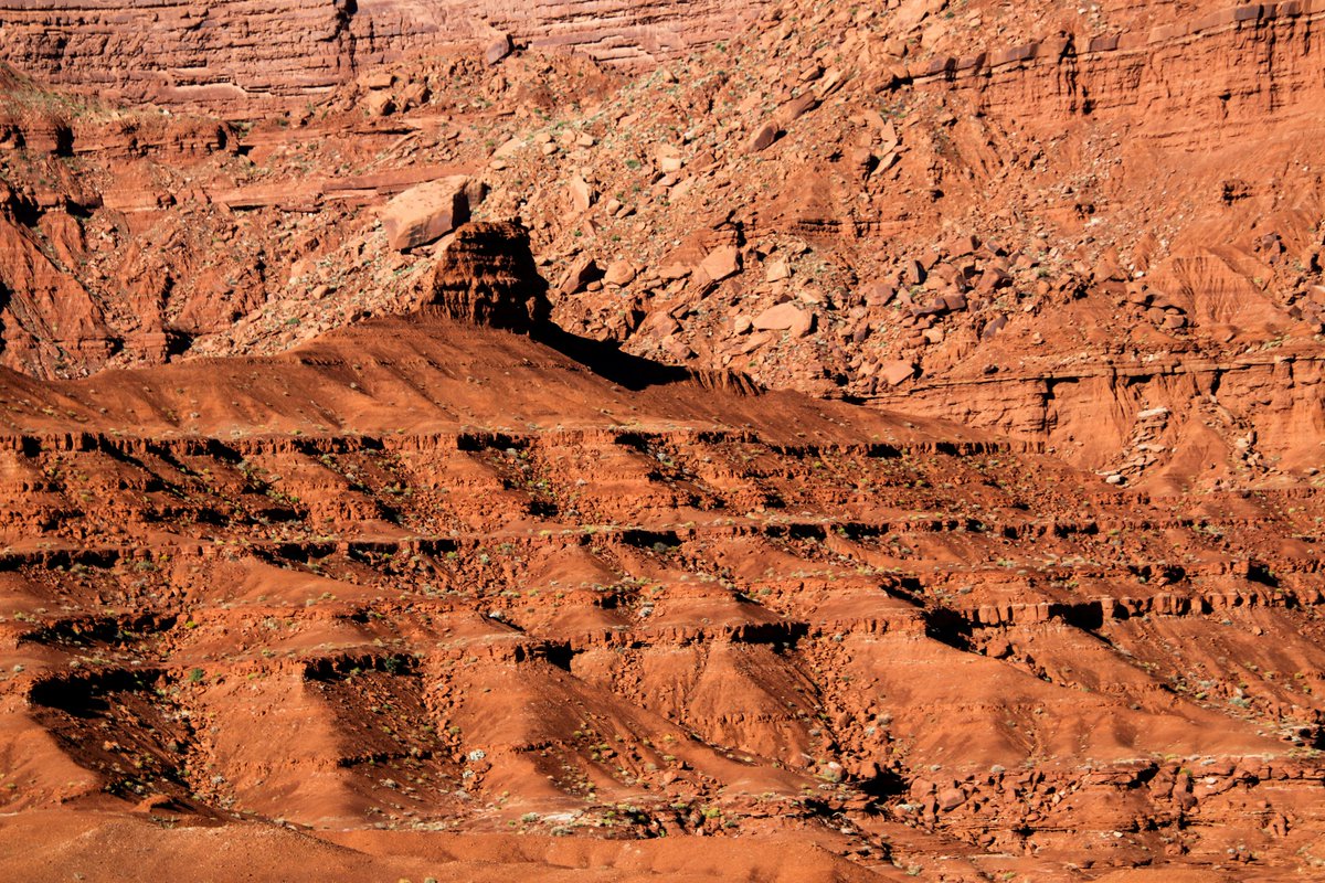 Hunter Boyle tweet media