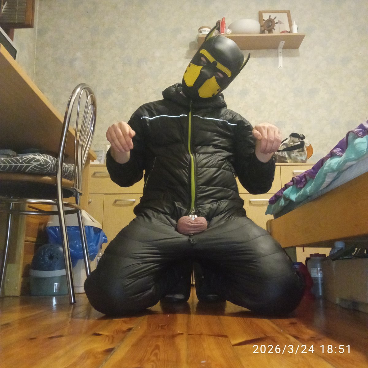 PupWolfie 🇵🇱 tweet media