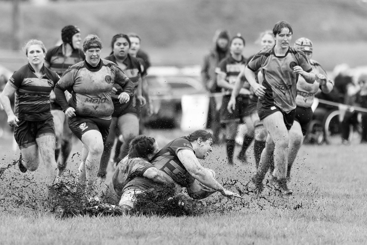 Melissa Levin Photography tweet media