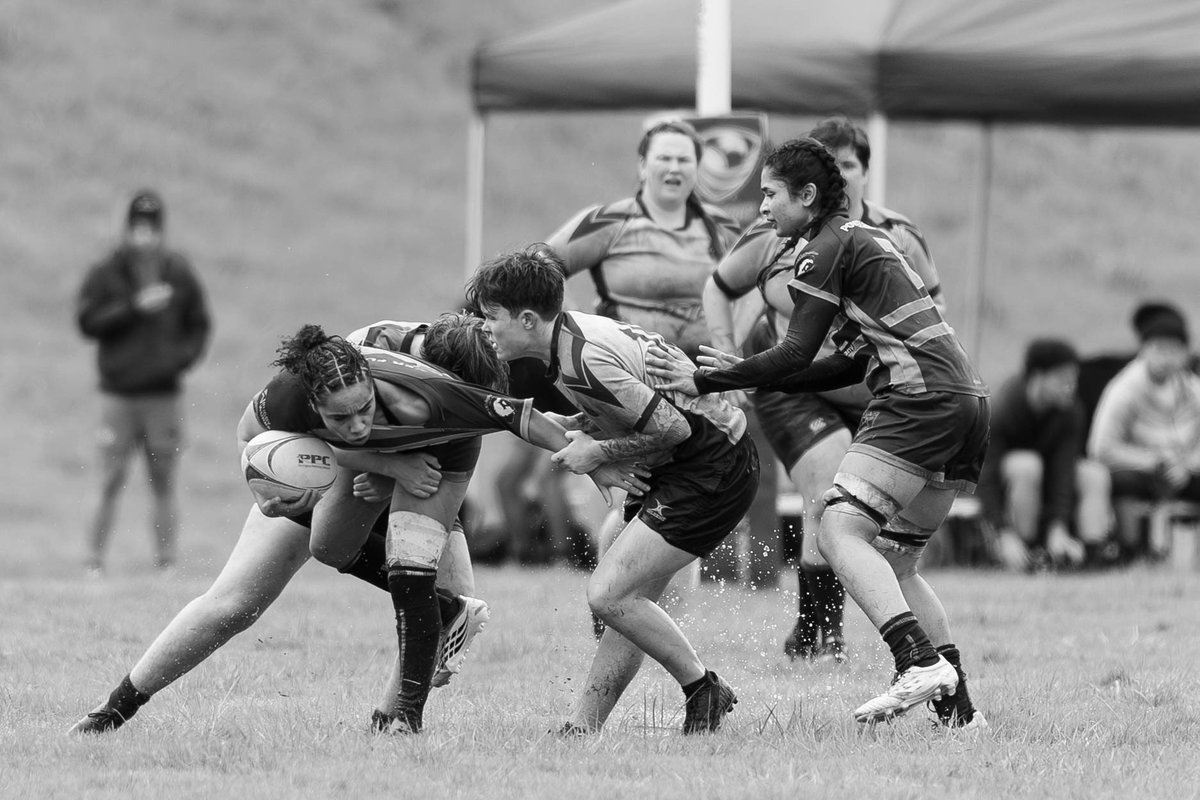 Melissa Levin Photography tweet media