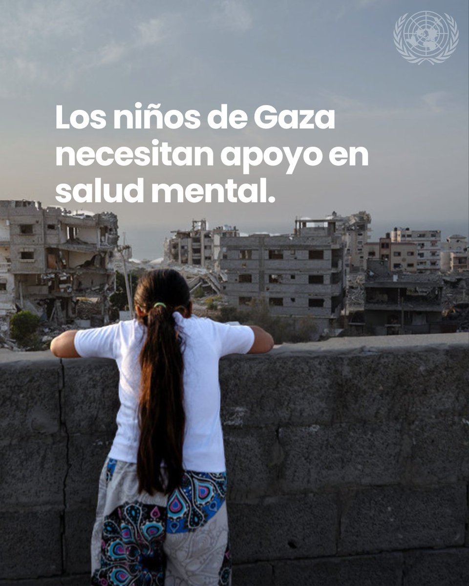 Naciones Unidas tweet media