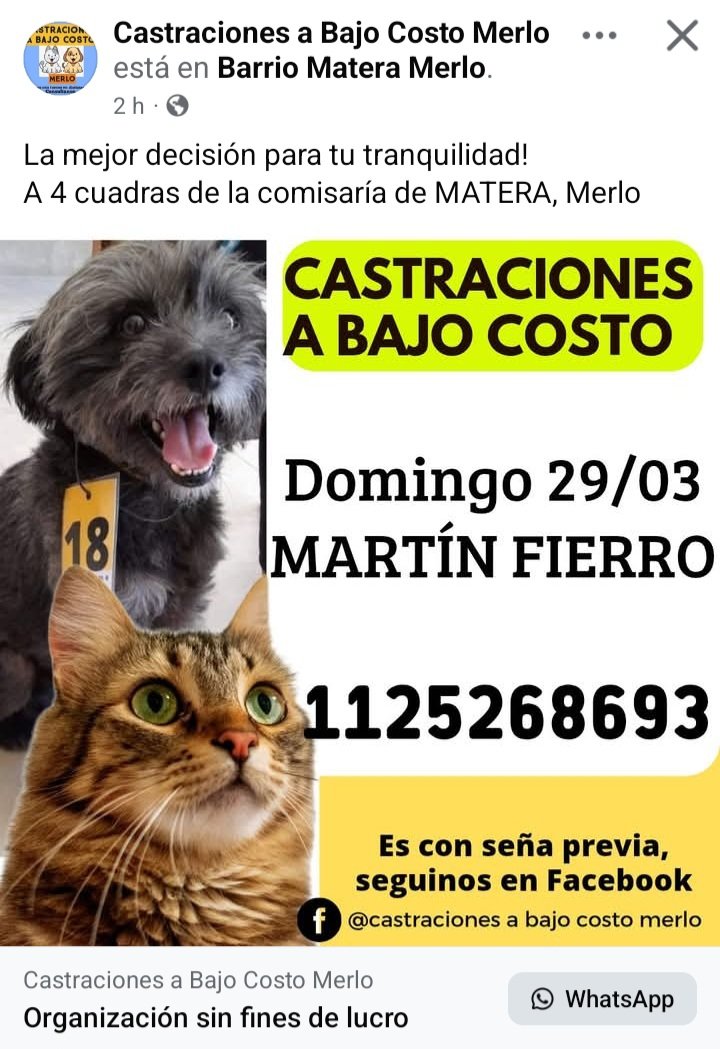 Perros de Merlo tweet media