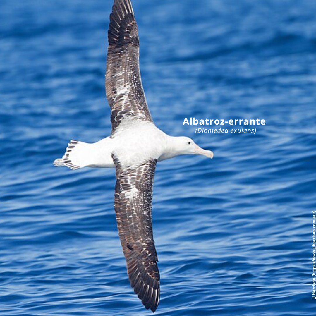 Programa da ONU para o Meio Ambiente tweet media