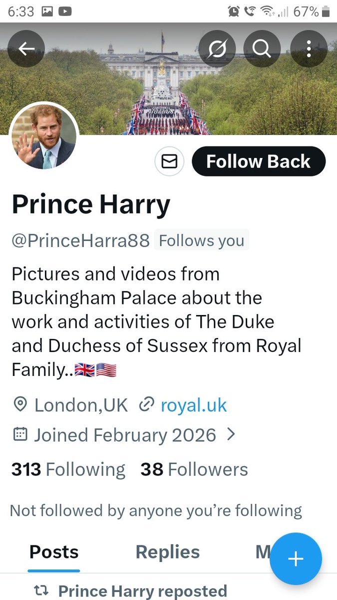 The Lesso. tweet media