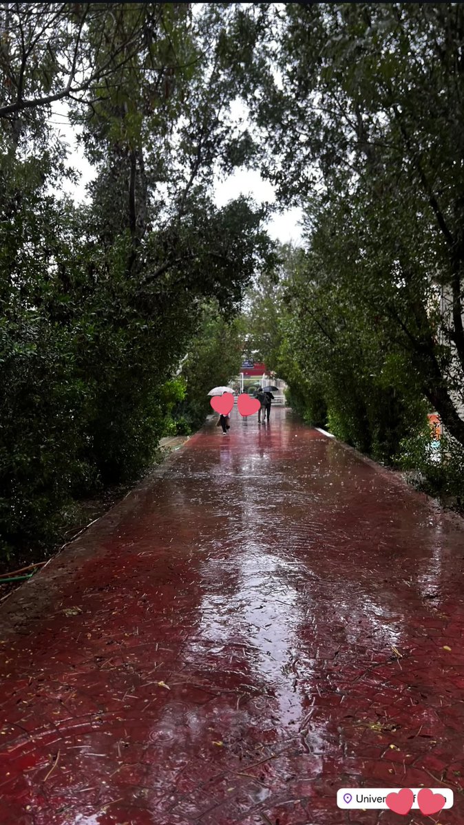 ببلز البنفسجية tweet media