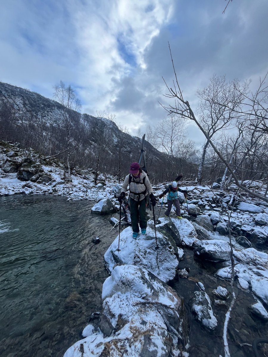 Tom Moyer 🇺🇸 tweet media