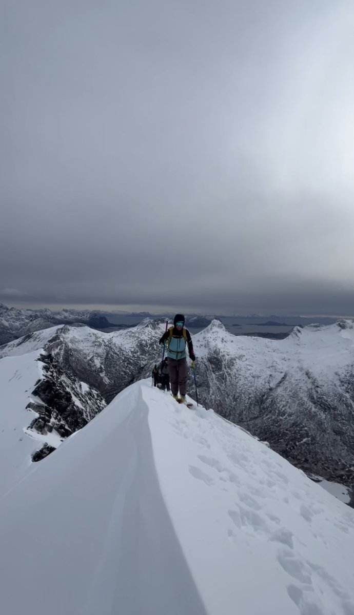 Tom Moyer 🇺🇸 tweet media