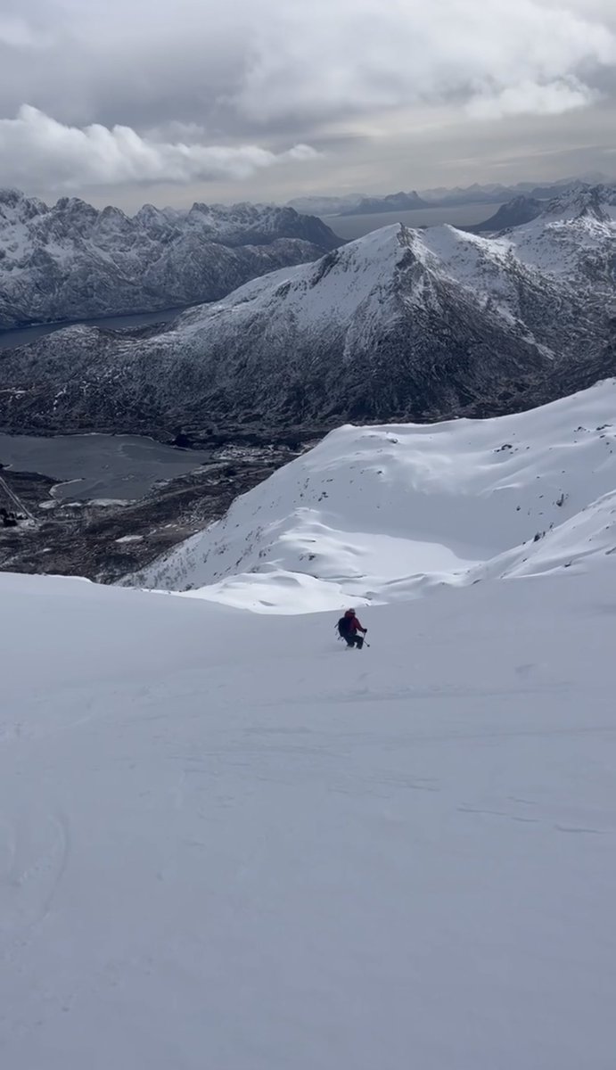 Tom Moyer 🇺🇸 tweet media