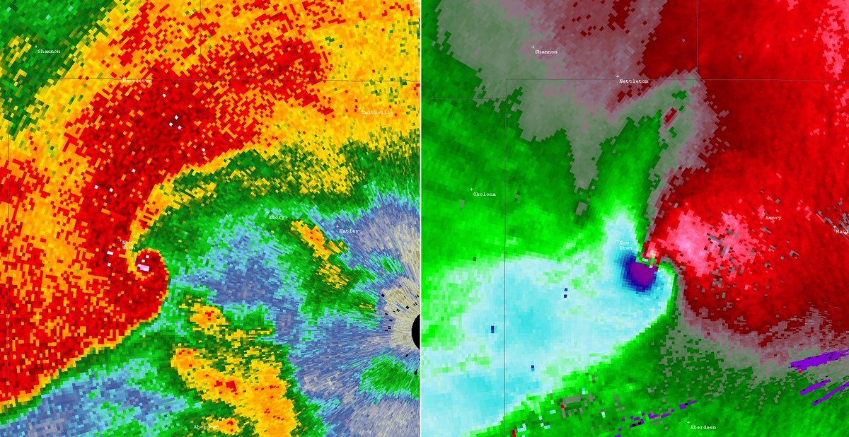 Jack Peltz tweet media