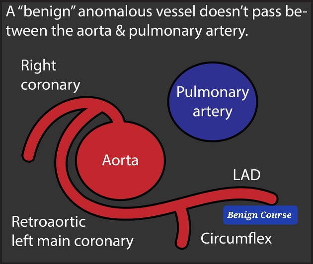 Ahmed Ata tweet media