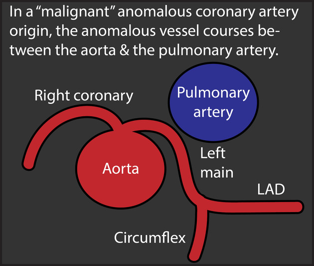 Ahmed Ata tweet media