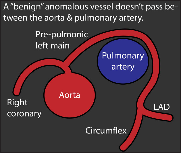 Ahmed Ata tweet media