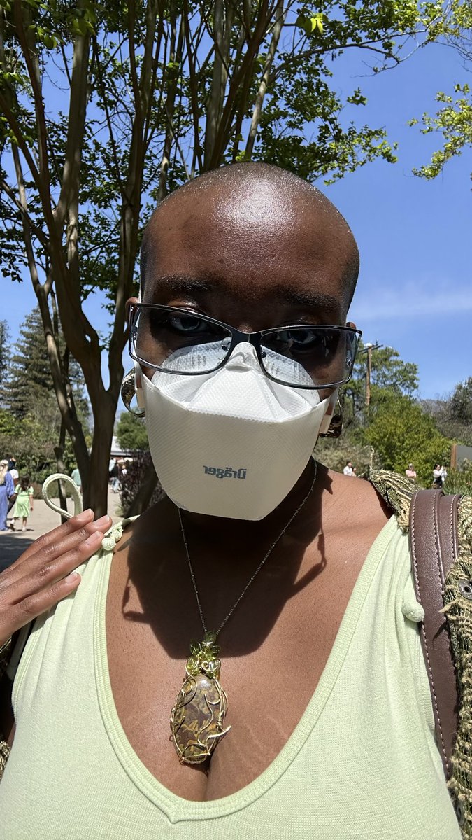 lay: pinned? what pinned? tweet media