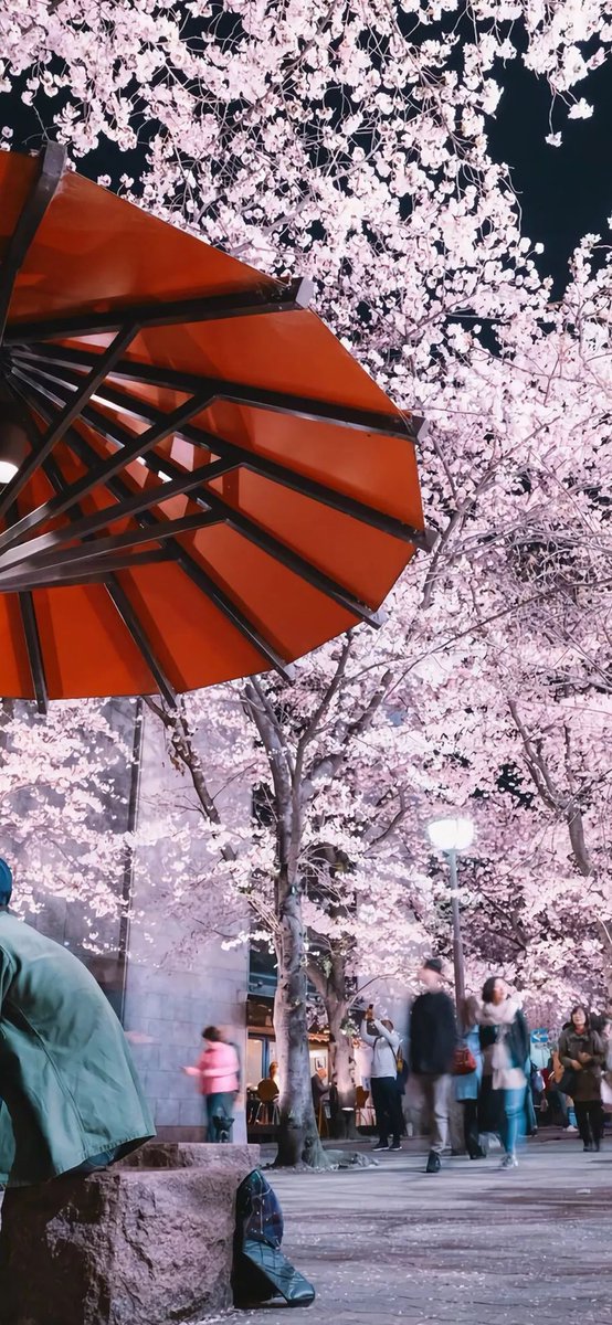 alissa jones tweet media