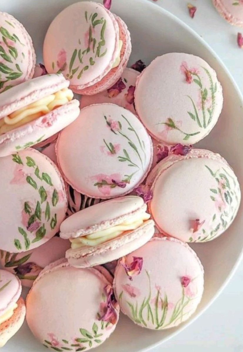 Elle Lookbook tweet media