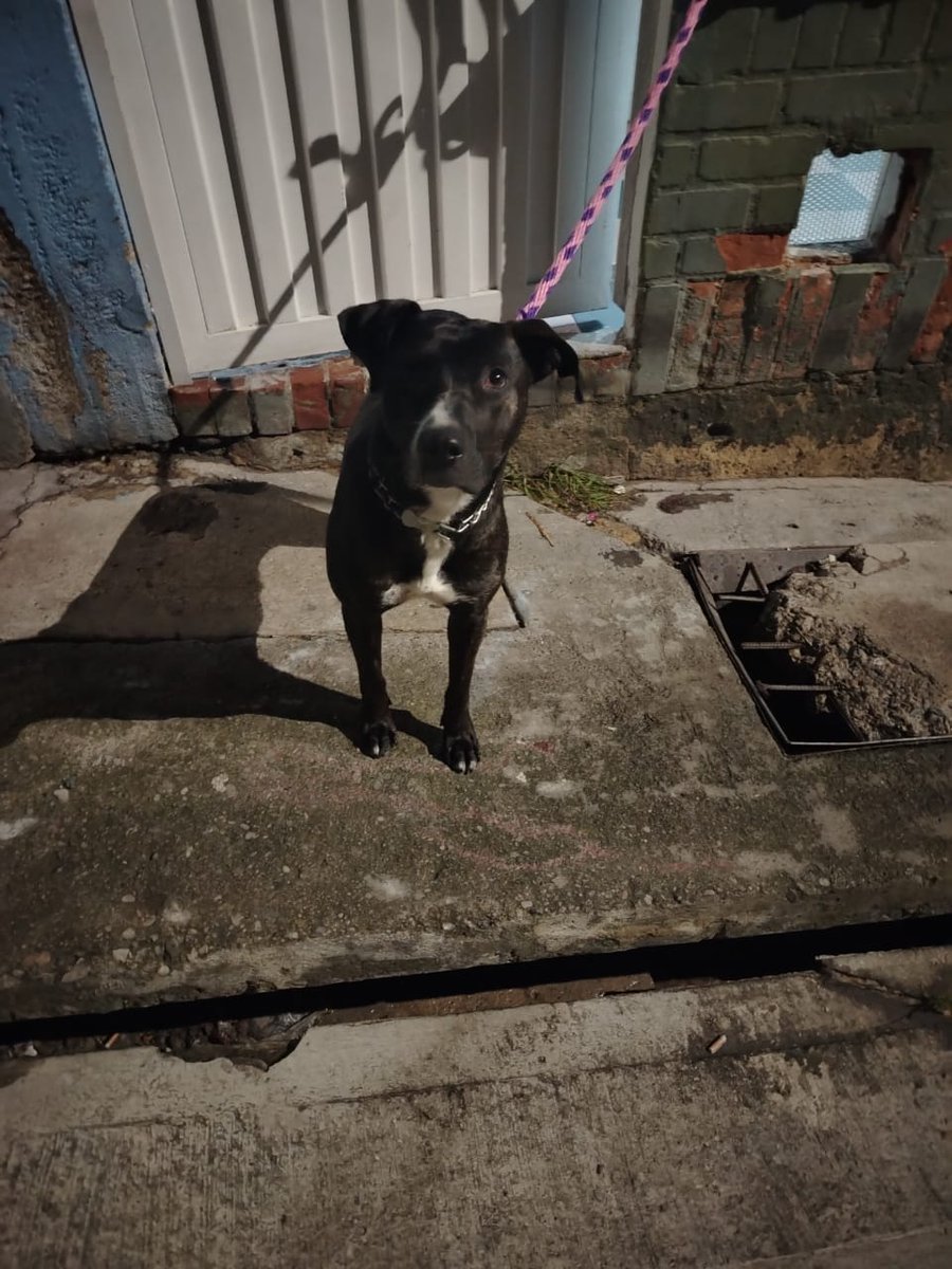 Ana Maria Diaz tweet media