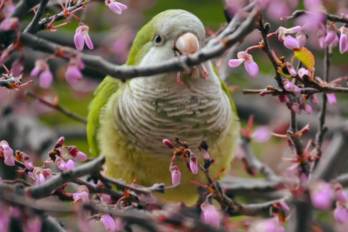риби тонуть в чорних водах tweet media
