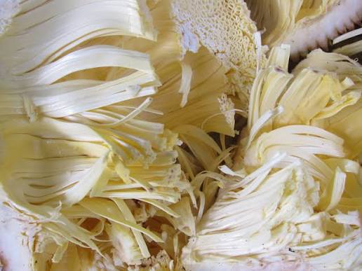 🌟🍁ᴀʙʜɪᴊɪᴛʜ🍁🌟 tweet media