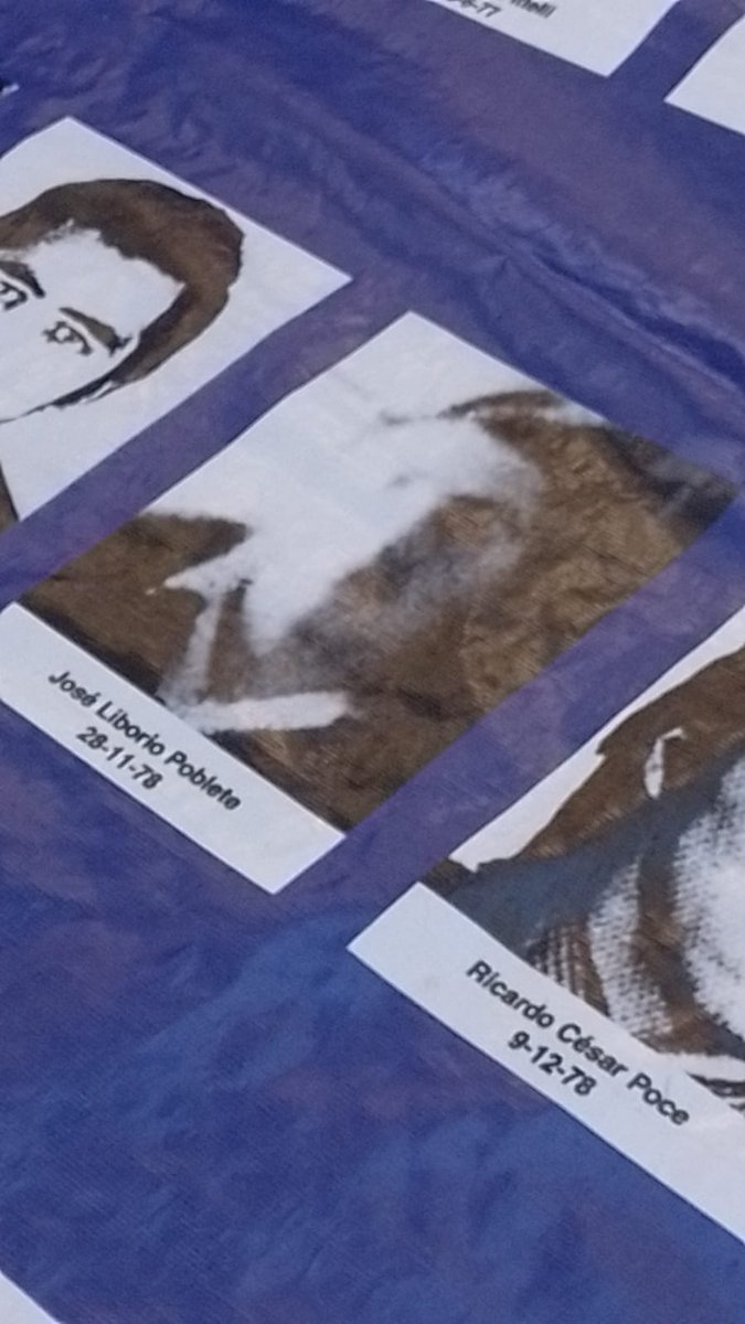 Virginia Perrone. tweet media