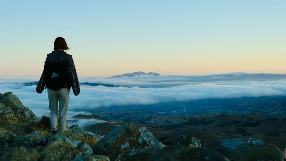 Marilou Michaels tweet media