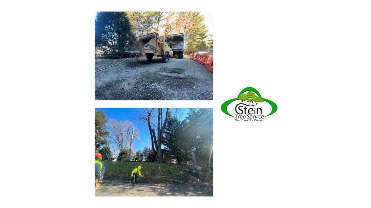 Stein Tree Service tweet media