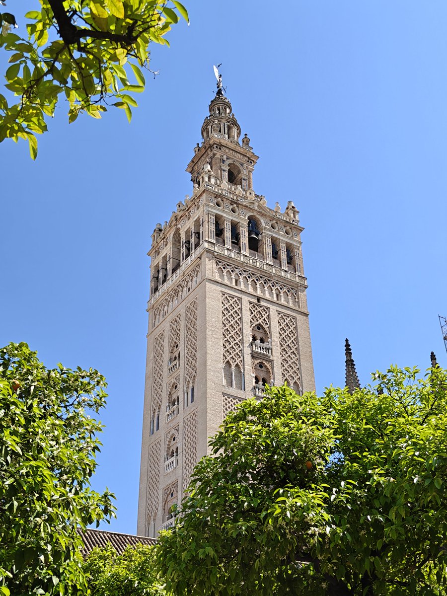 Vir 🥝 tweet media