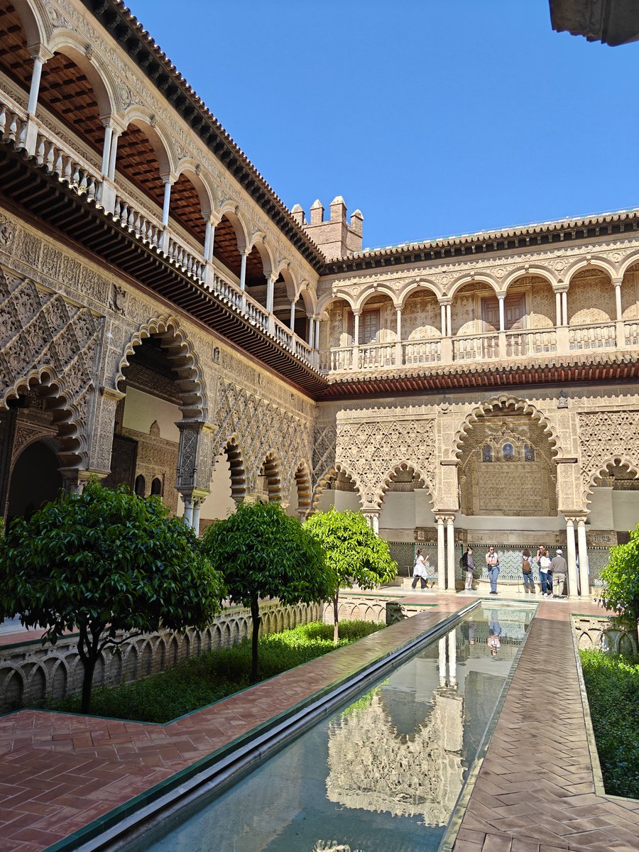 Vir 🥝 tweet media