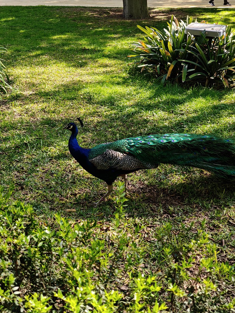 Vir 🥝 tweet media